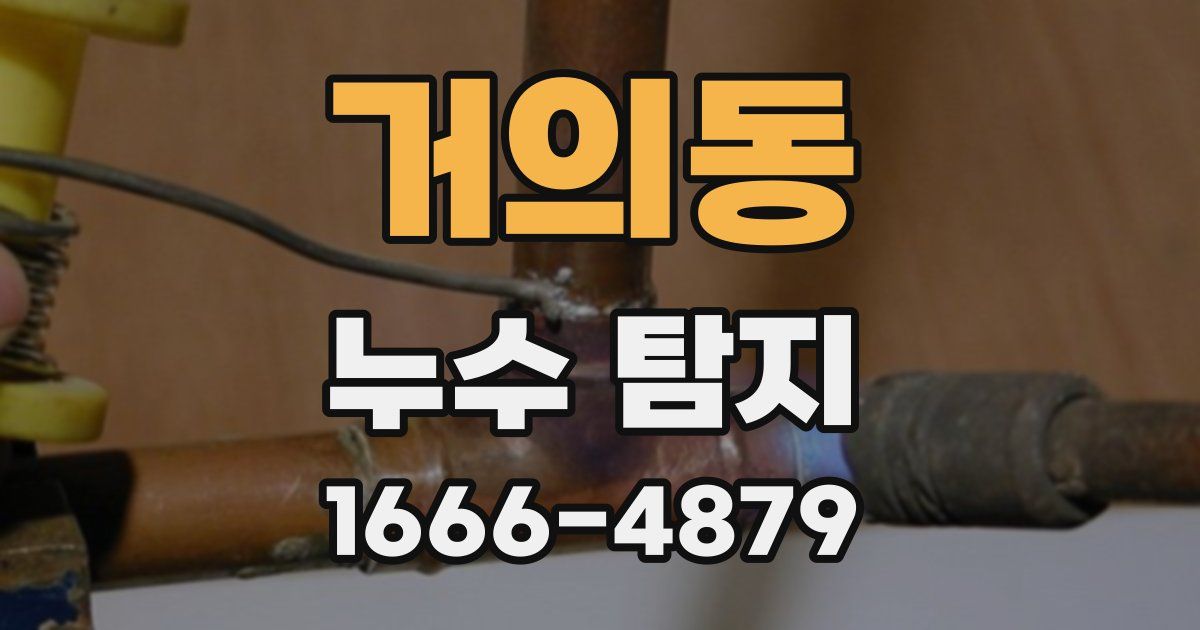 거의동 누수 탐지