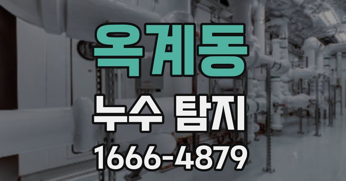 옥계동 누수 탐지