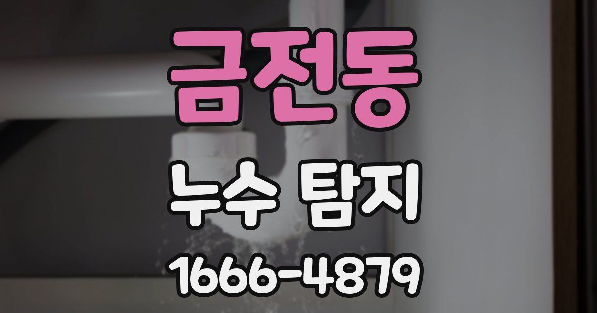 금전동 누수 탐지