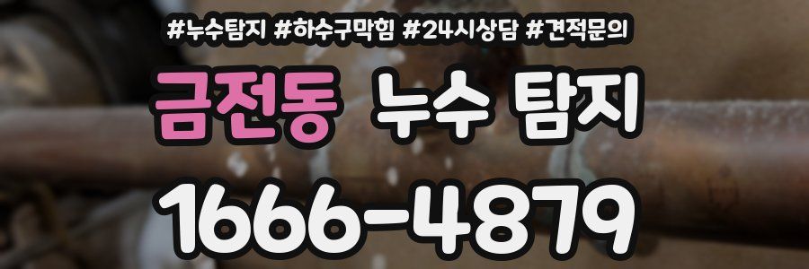 금전동 누수 탐지