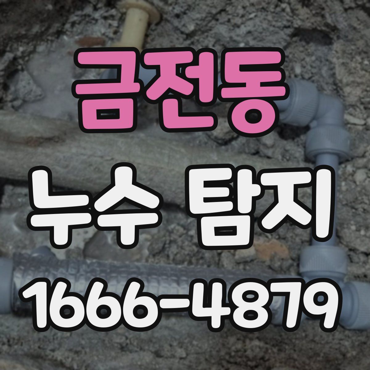 금전동 누수 탐지