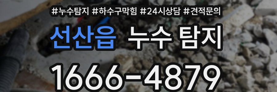 선산읍 누수 탐지