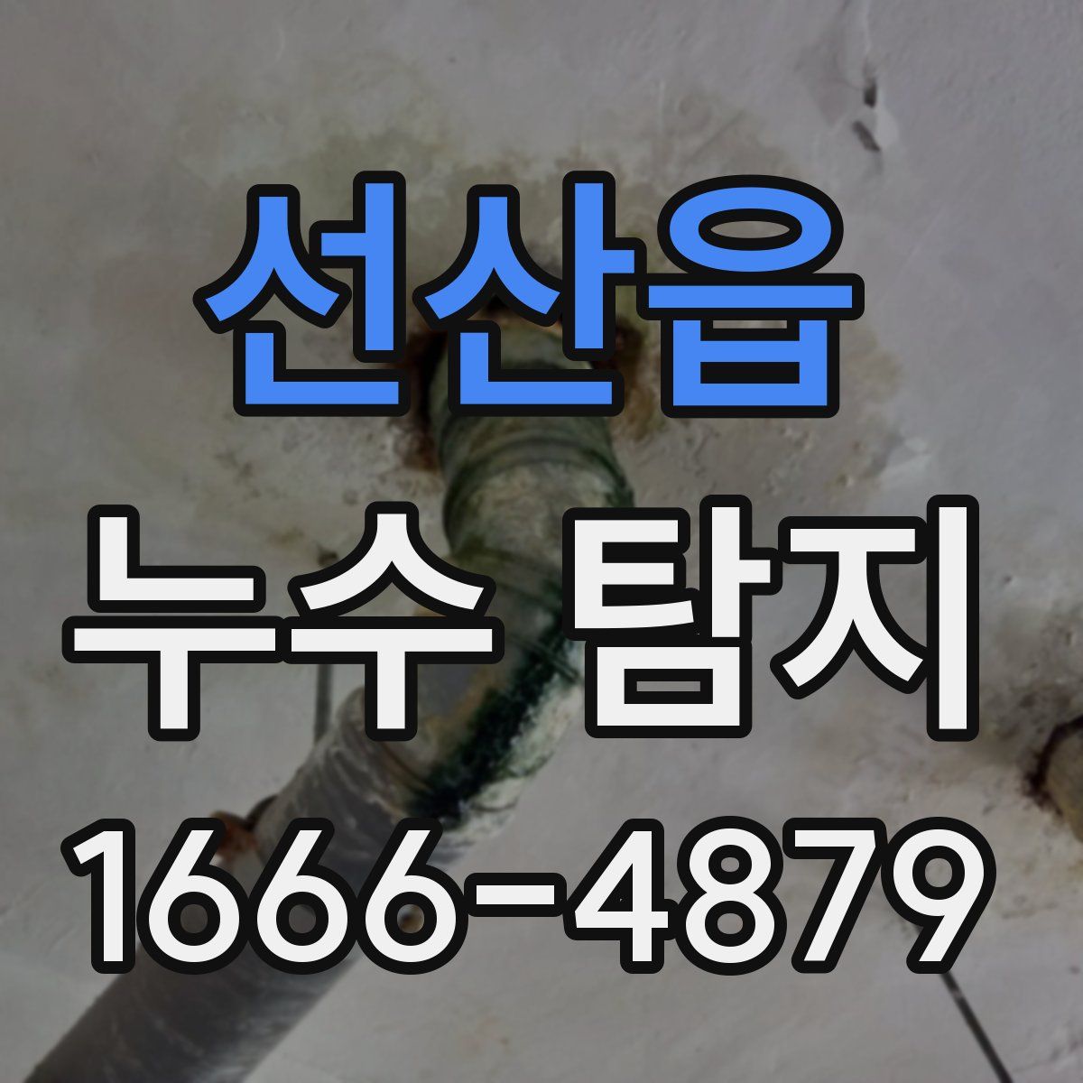 선산읍 누수 탐지