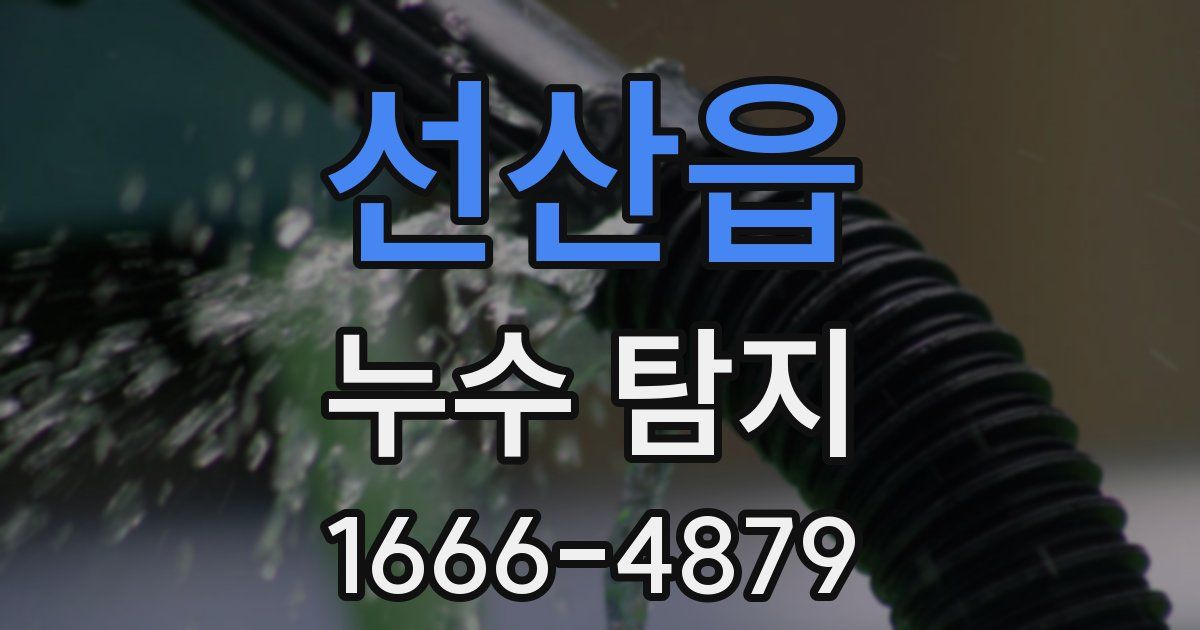 선산읍 누수 탐지