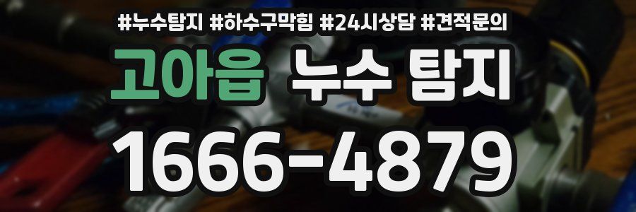고아읍 누수 탐지