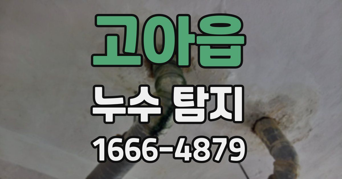 고아읍 누수 탐지