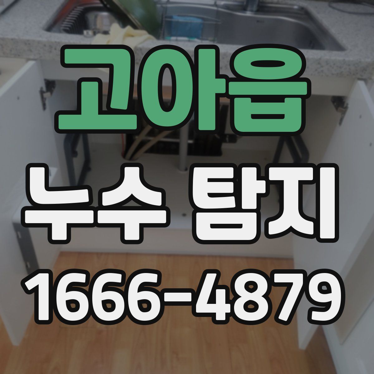 고아읍 누수 탐지