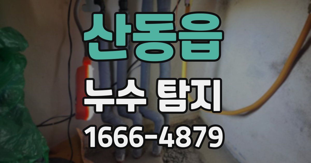산동읍 누수 탐지
