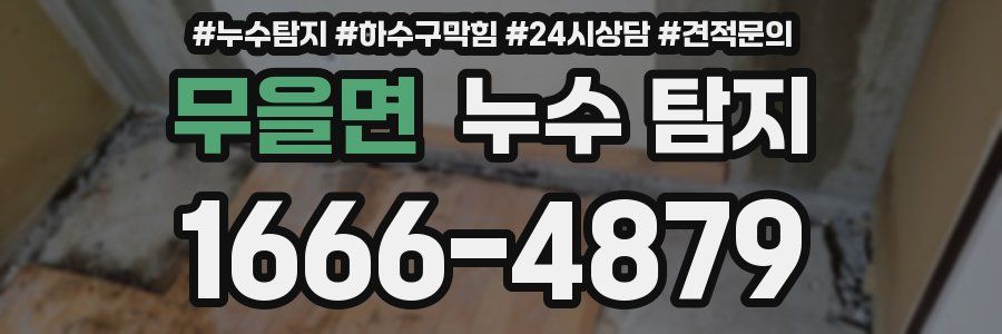 무을면 누수 탐지