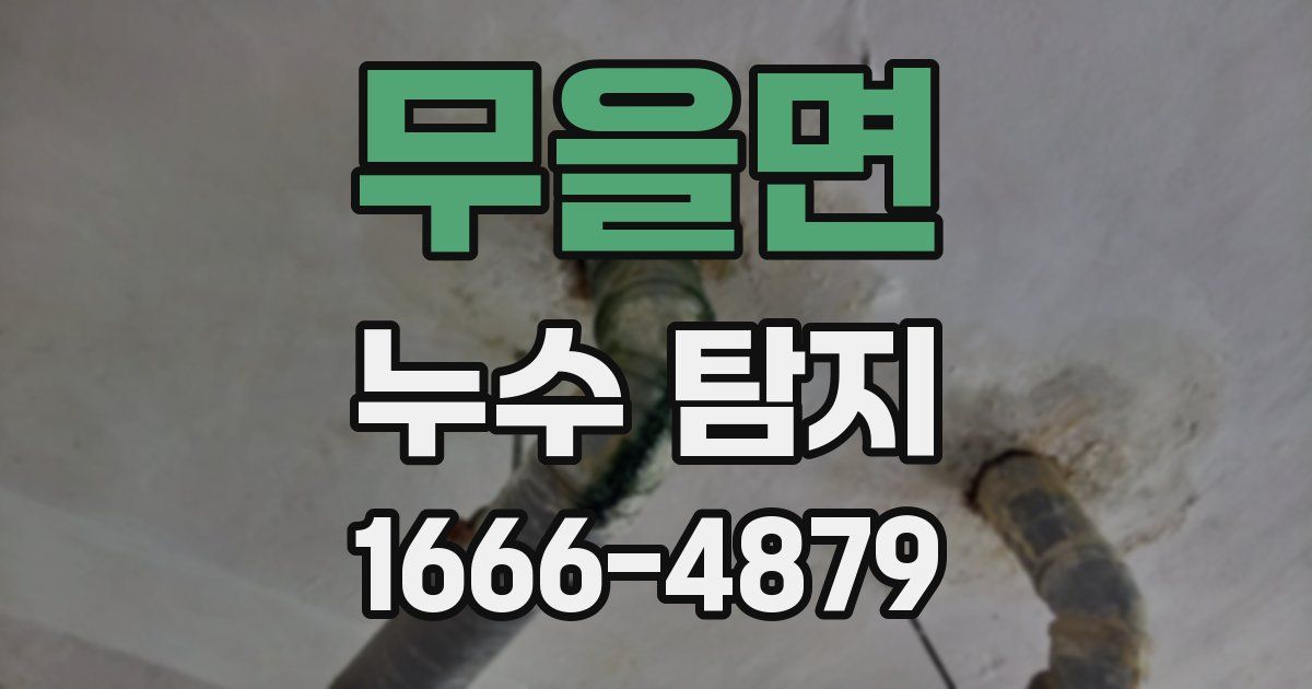 무을면 누수 탐지
