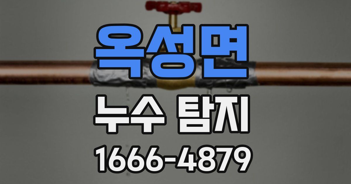 옥성면 누수 탐지