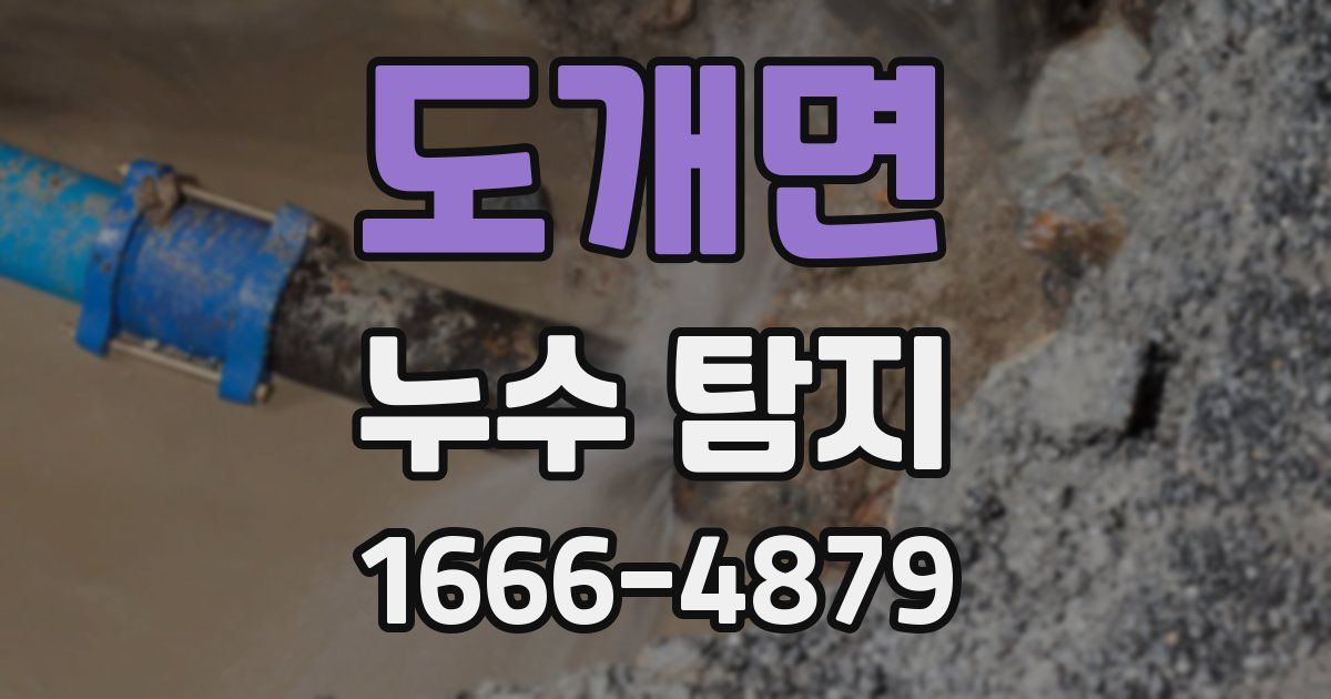 도개면 누수 탐지