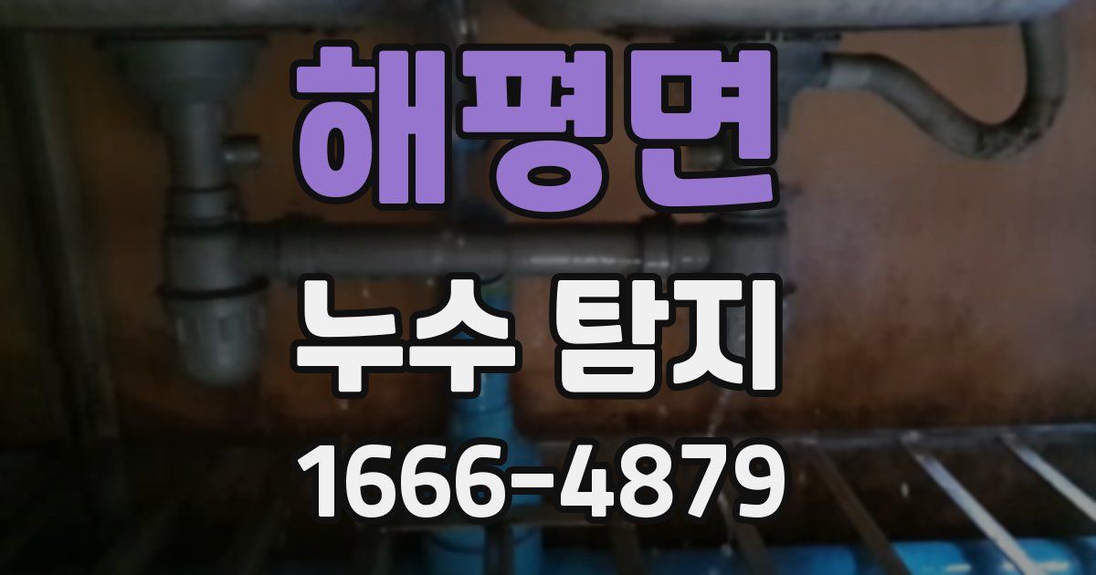 해평면 누수 탐지