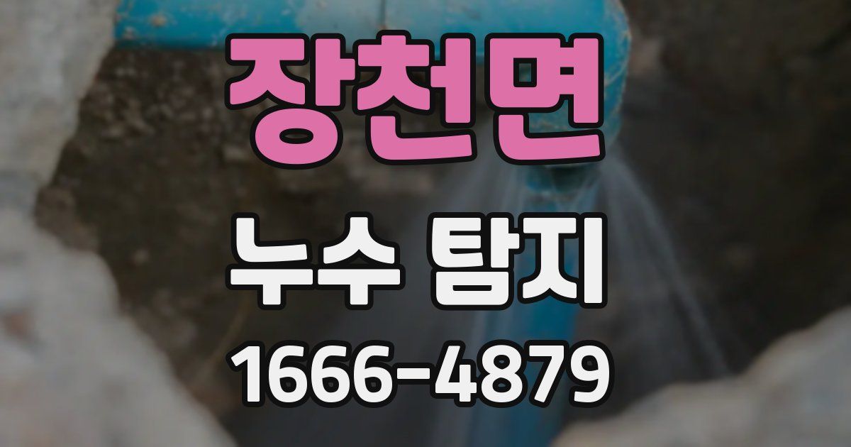 장천면 누수 탐지