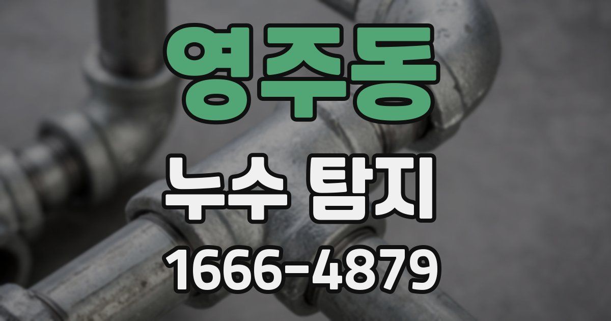영주동 누수 탐지
