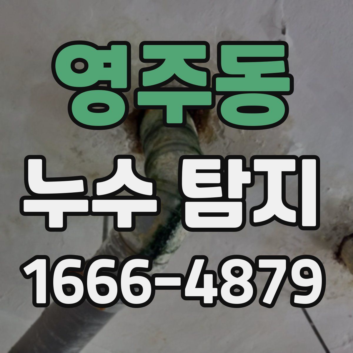 영주동 누수 탐지