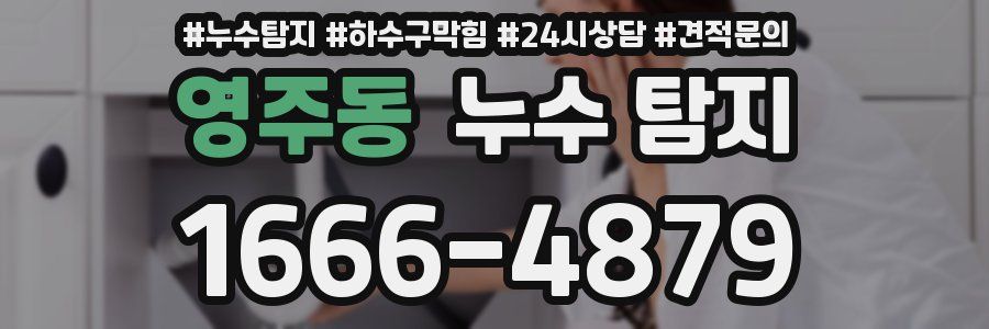 영주동 누수 탐지