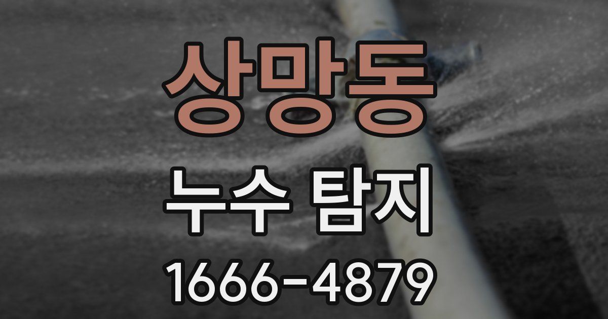 상망동 누수 탐지