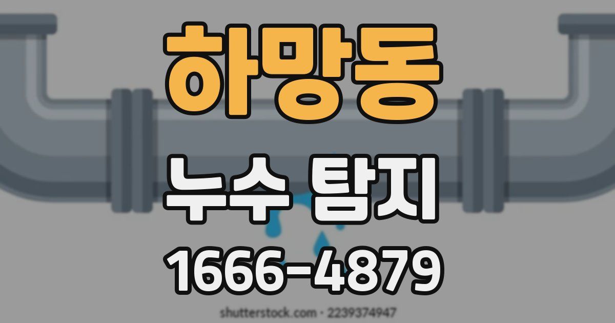 하망동 누수 탐지