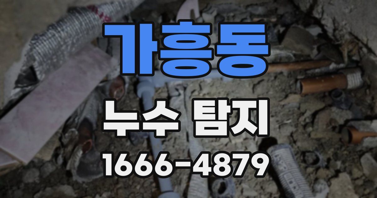 가흥동 누수 탐지