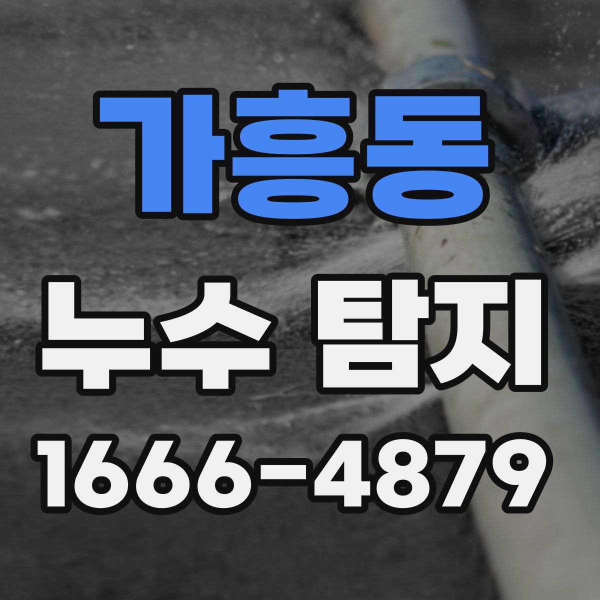 가흥동 누수 탐지