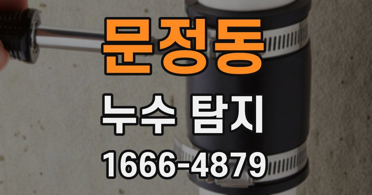 문정동 누수 탐지