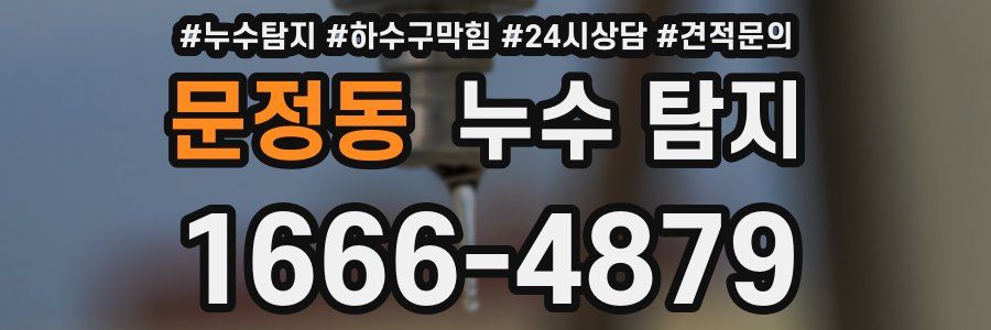 문정동 누수 탐지