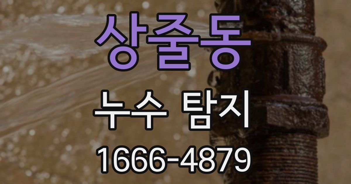 상줄동 누수 탐지