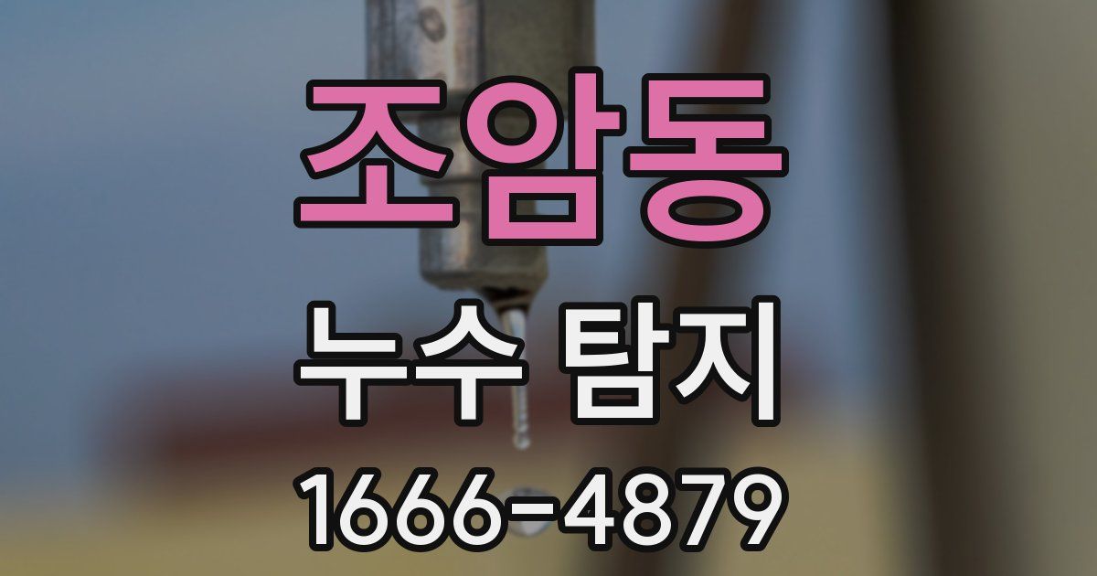 조암동 누수 탐지