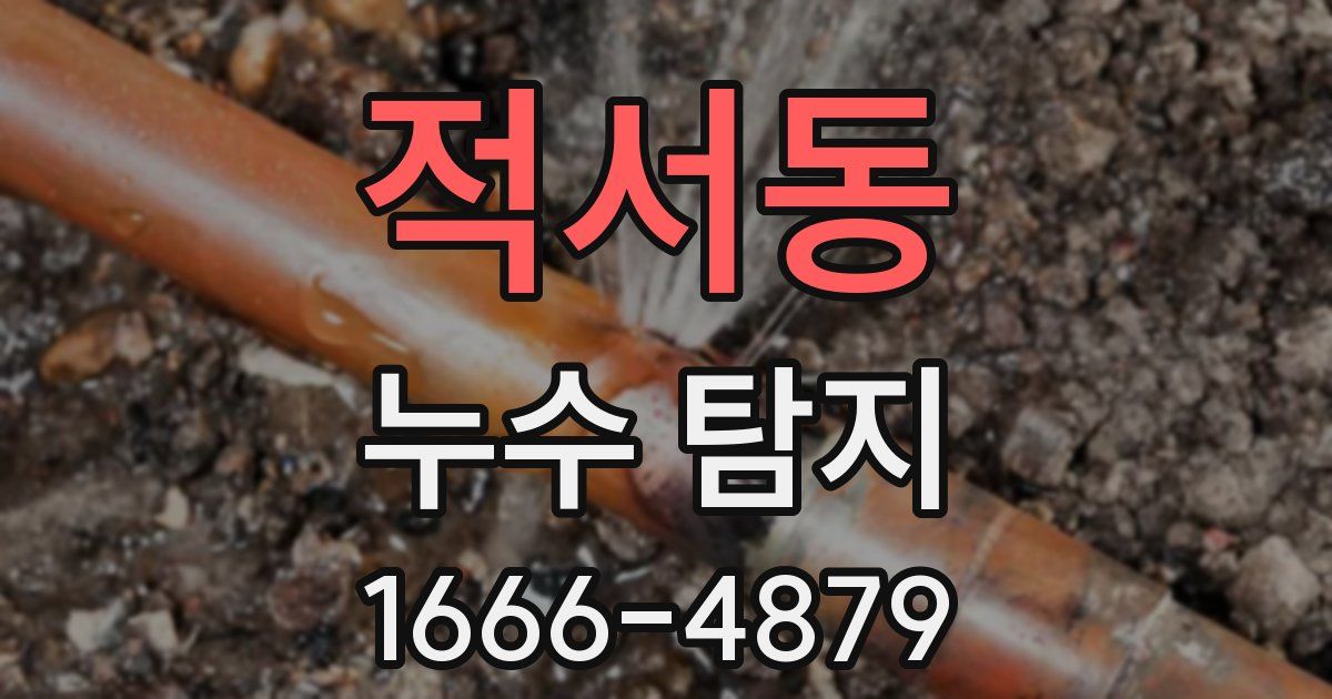 적서동 누수 탐지