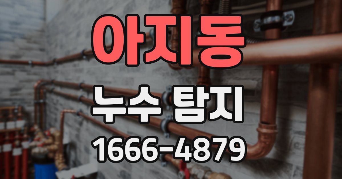 아지동 누수 탐지