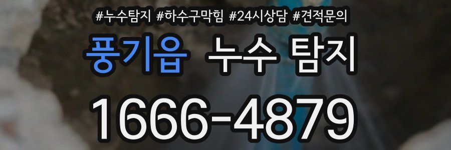 풍기읍 누수 탐지
