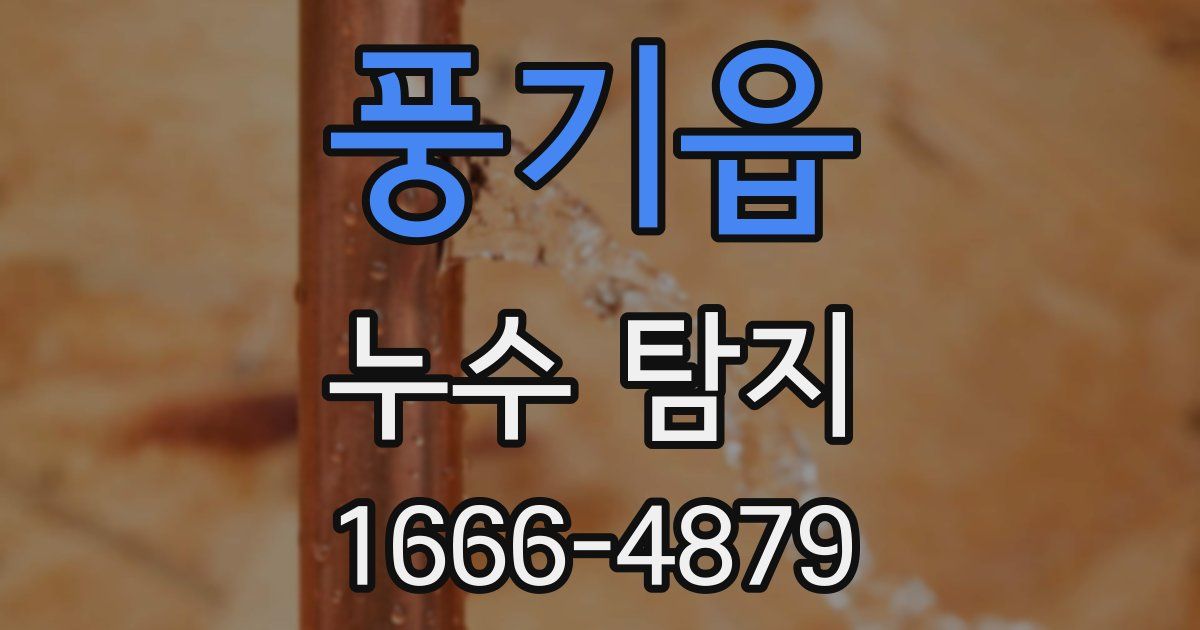 풍기읍 누수 탐지