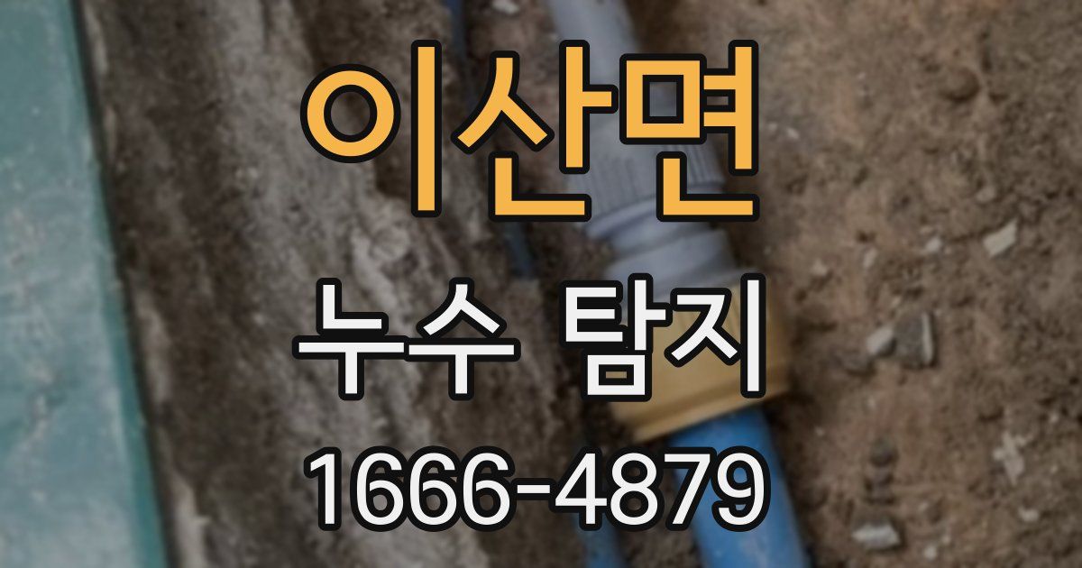 이산면 누수 탐지