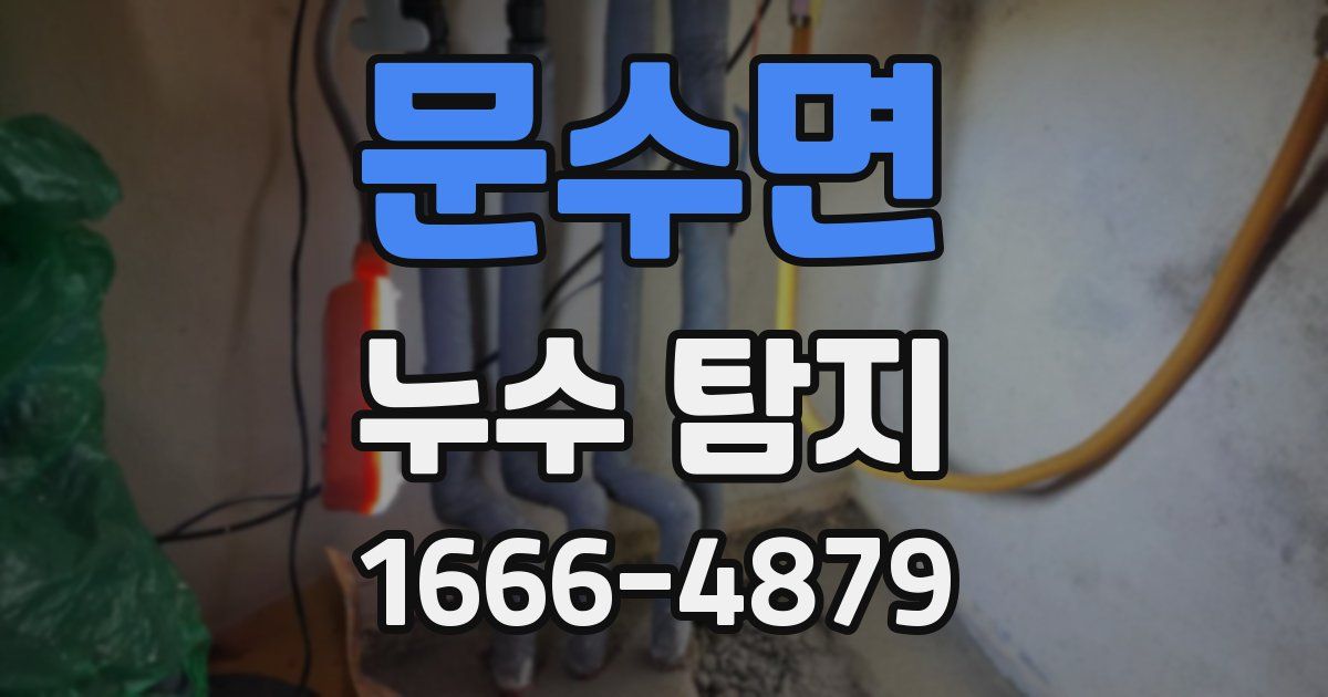 문수면 누수 탐지