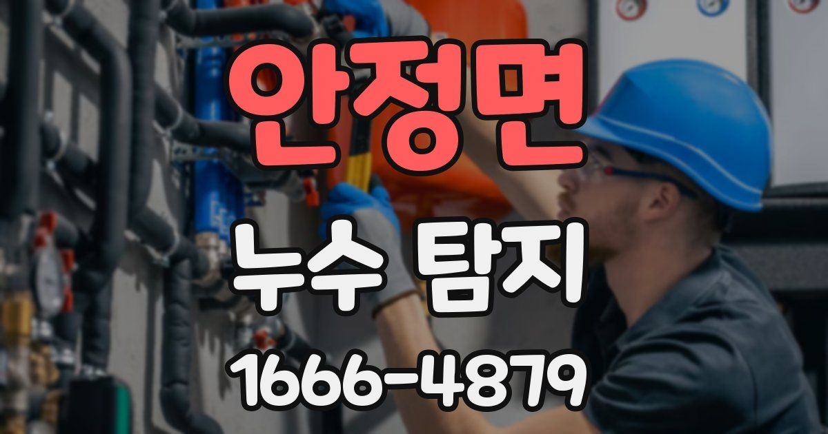 안정면 누수 탐지