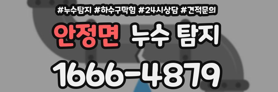 안정면 누수 탐지