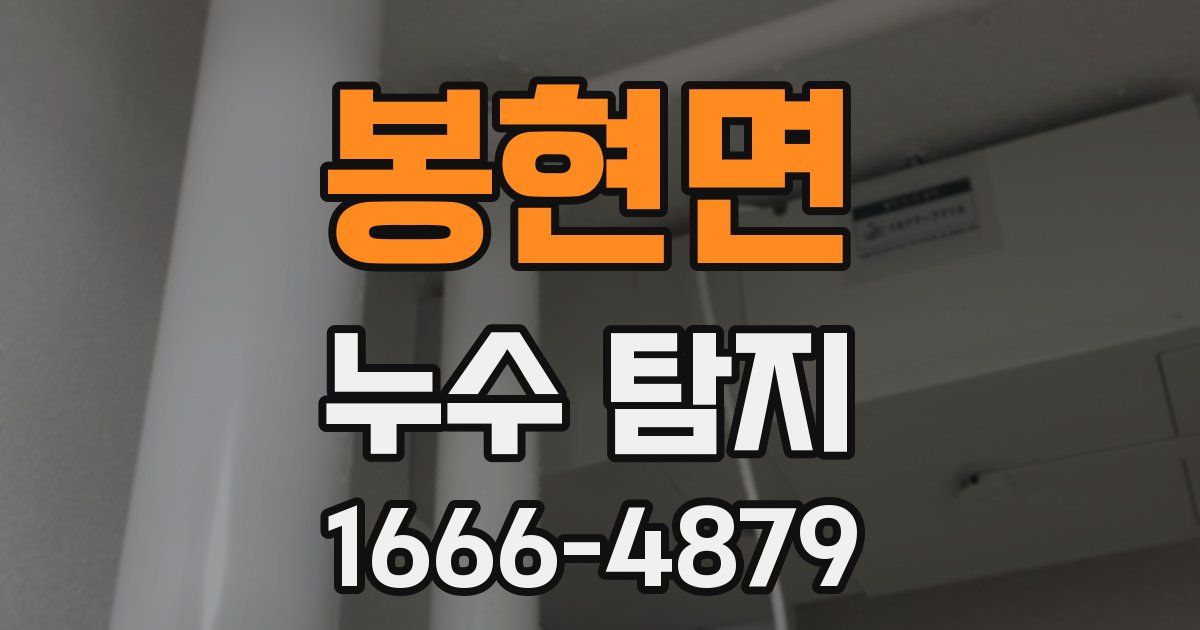 봉현면 누수 탐지