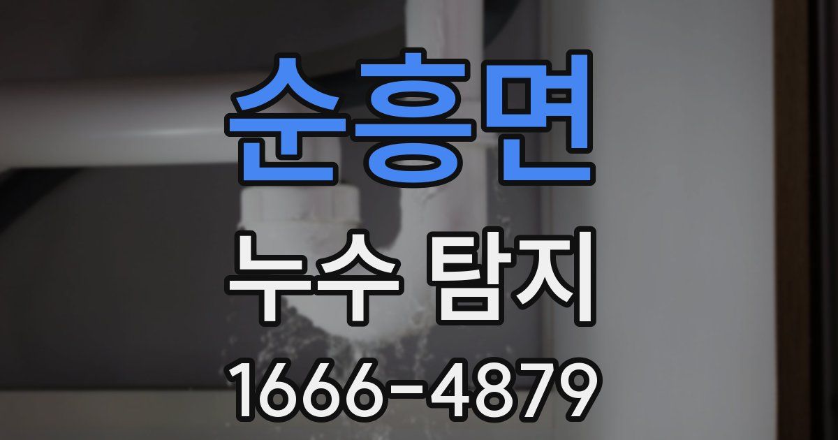 순흥면 누수 탐지