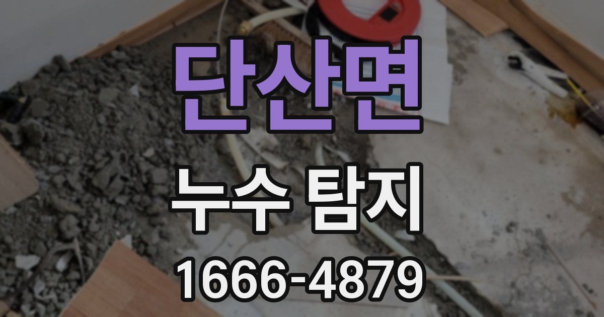 단산면 누수 탐지