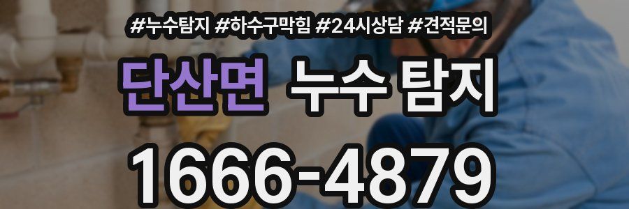단산면 누수 탐지