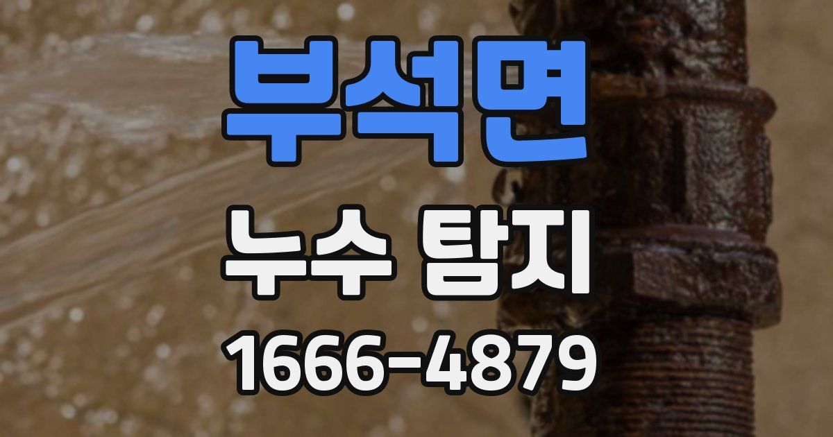 부석면 누수 탐지