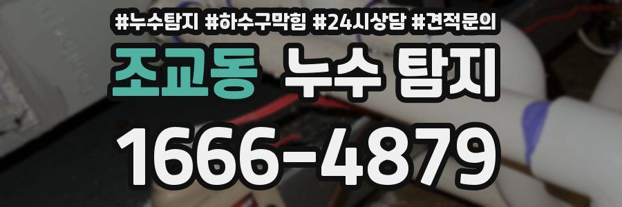 조교동 누수 탐지