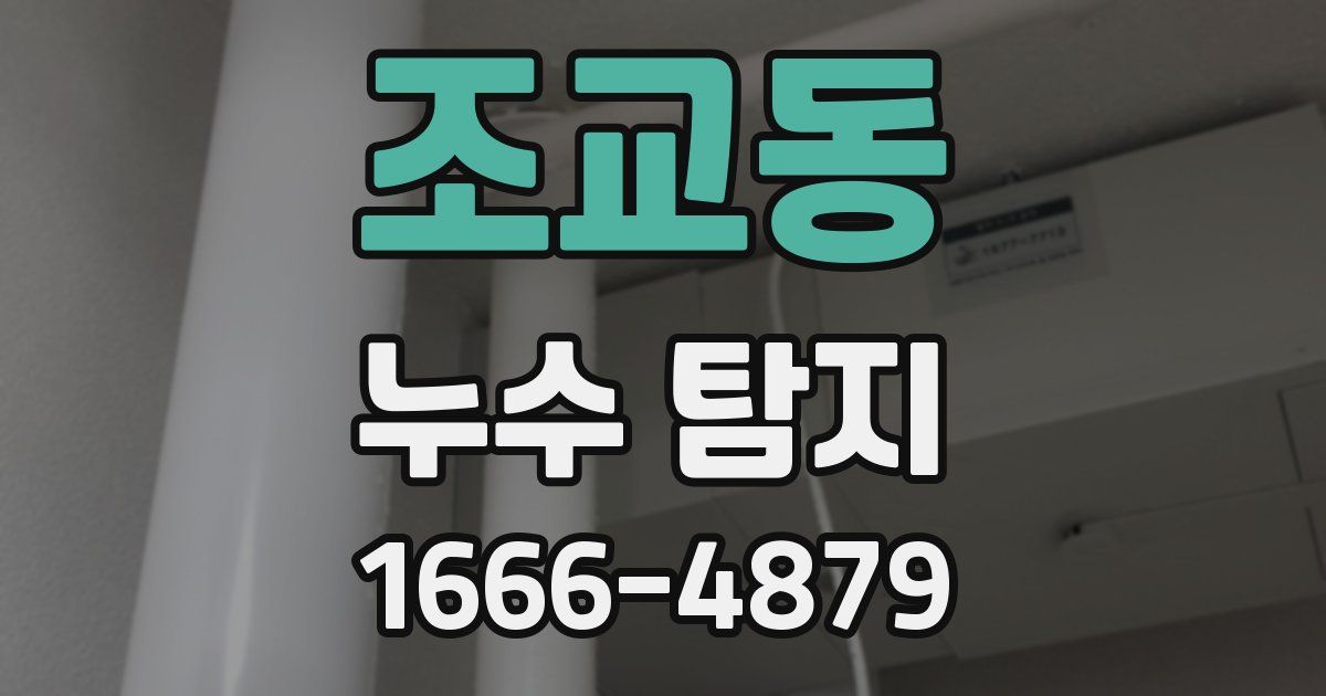 조교동 누수 탐지
