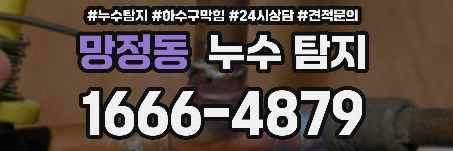 망정동 누수 탐지