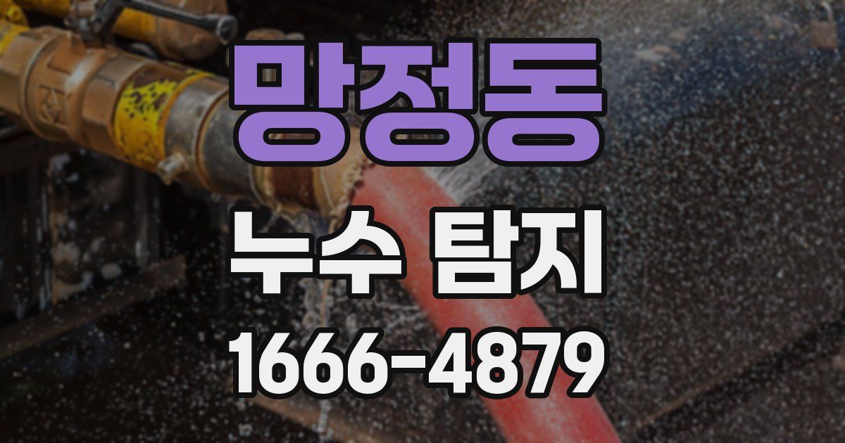 망정동 누수 탐지