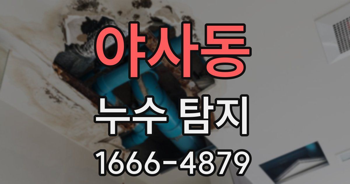 야사동 누수 탐지