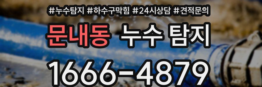 문내동 누수 탐지
