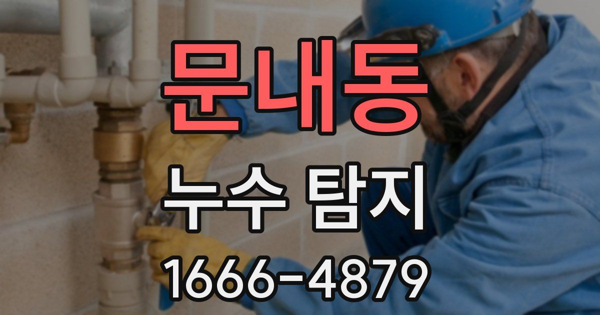 문내동 누수 탐지