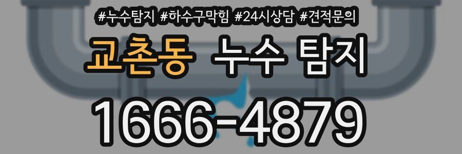 교촌동 누수 탐지